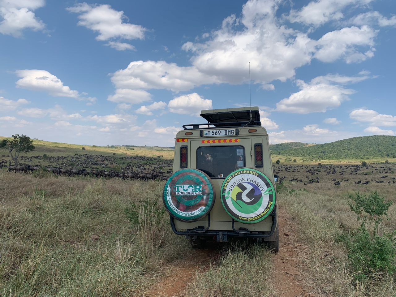 Tanzania Safari